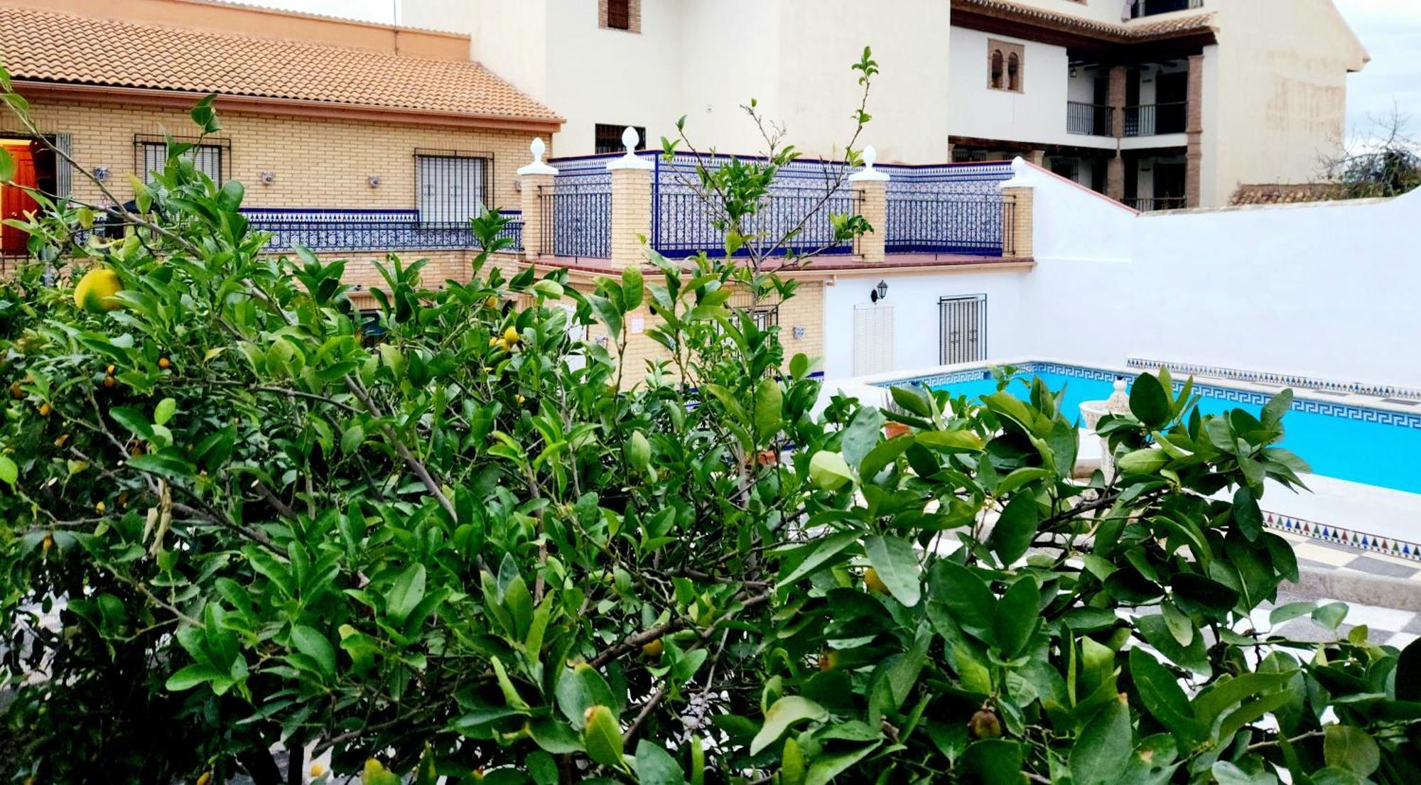 Appartement Casa El Chiquitin à La Zubia  Extérieur photo